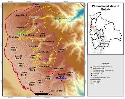 Mining expansion may reduce livestock but facilitate vicuñas recovery in tropical Puna of South America